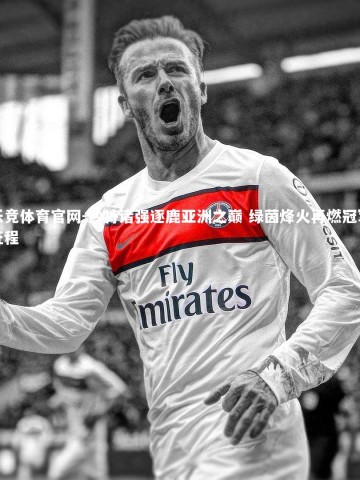 乐竞体育官网-沙特诸强逐鹿亚洲之巅 绿茵烽火再燃冠军征程